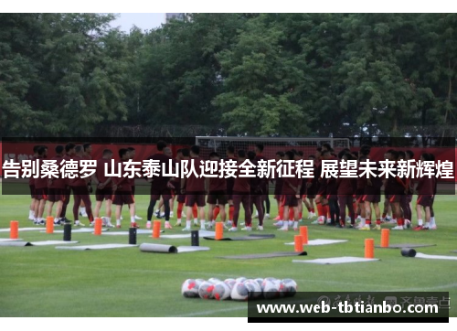 告别桑德罗 山东泰山队迎接全新征程 展望未来新辉煌
