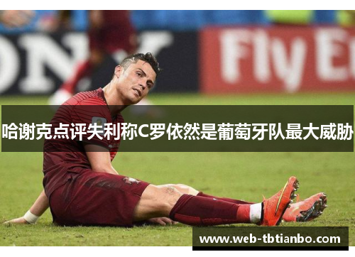 哈谢克点评失利称C罗依然是葡萄牙队最大威胁